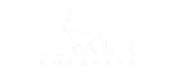 lemur-mudanzas-logo-blanco-navbar-250.png